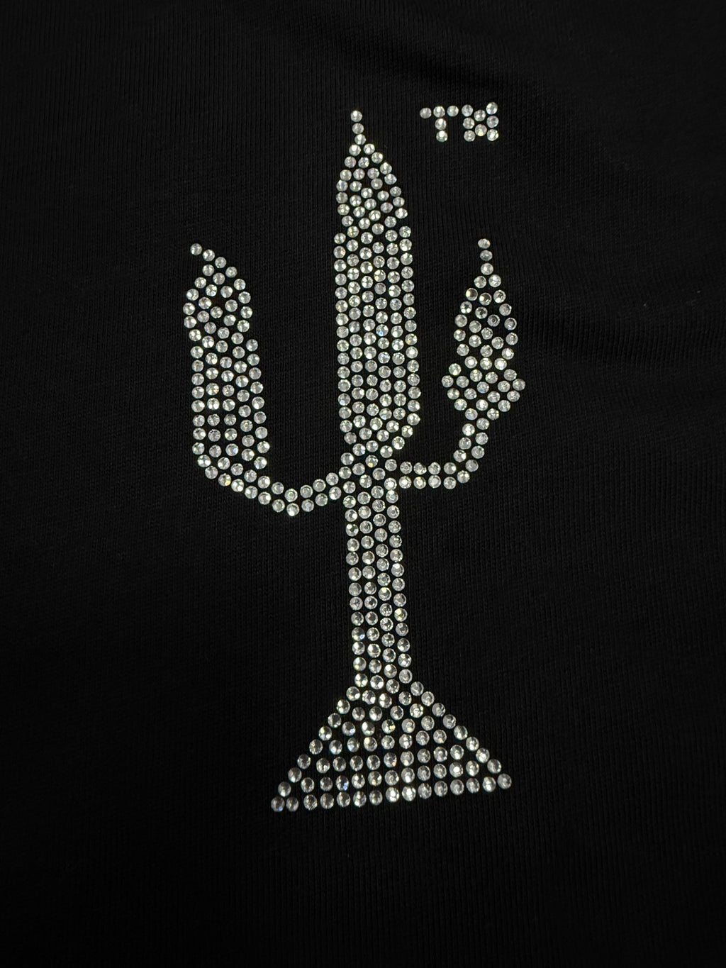 a black Sp5der VAA TM Tee from the Fall/Winter 2025 collection, featuring a rhinestone-embellished cactus graphic