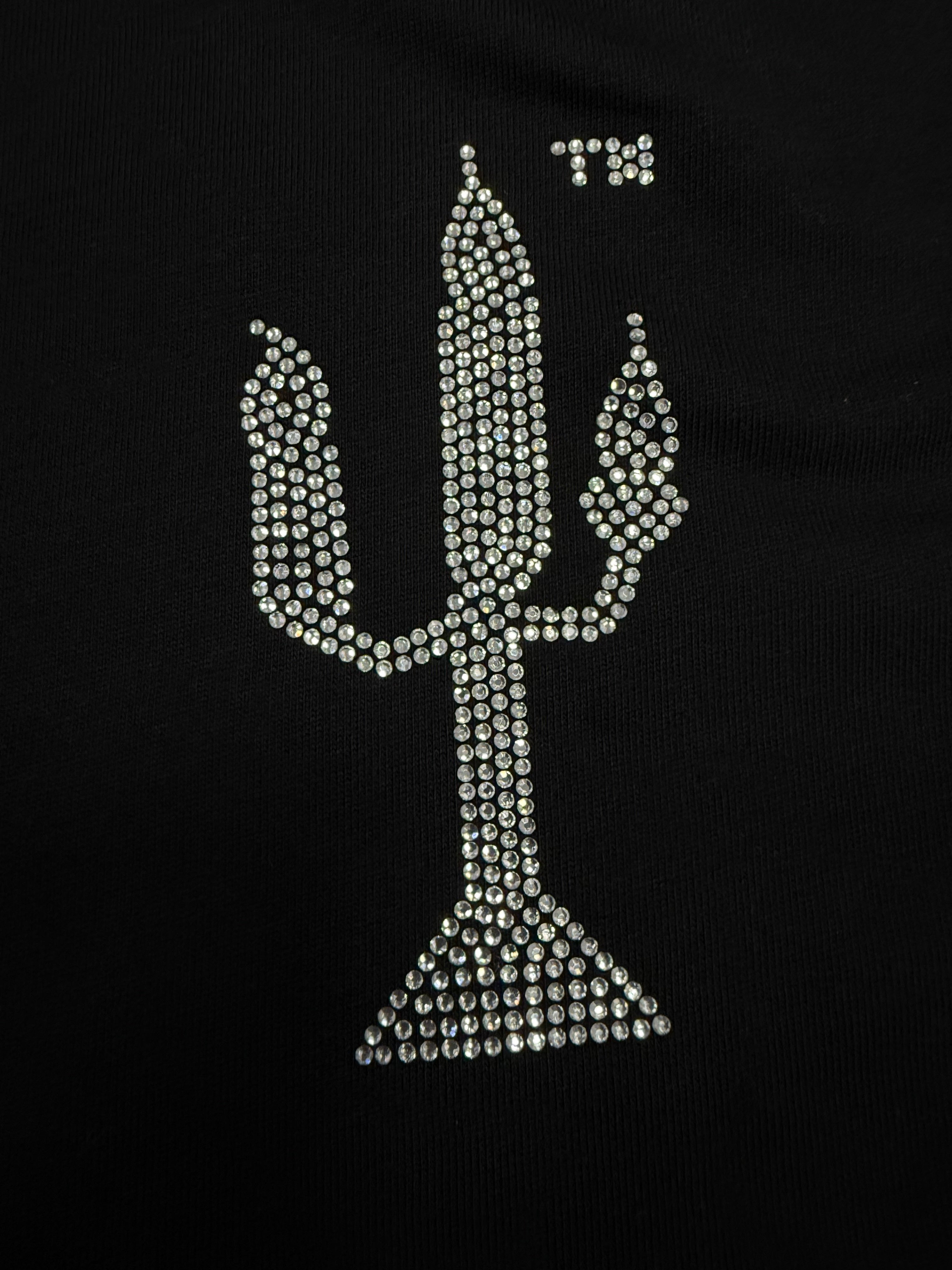 a black Sp5der VAA TM Tee from the Fall/Winter 2025 collection, featuring a rhinestone-embellished cactus graphic